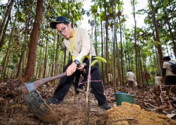 Kota Hutan Nusantara: Membangun Kota dengan Memulihkan Ekosistem