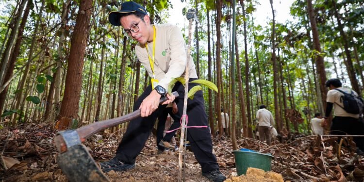 Kota Hutan Nusantara: Membangun Kota dengan Memulihkan Ekosistem