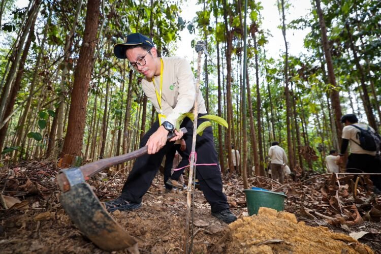 Kota Hutan Nusantara: Membangun Kota dengan Memulihkan Ekosistem