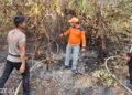 Kebakaran Lahan Sisa Hari Sebelumnya Terjadi di Desa Apung, Tim Gabungan Berhasil Padamkan Api