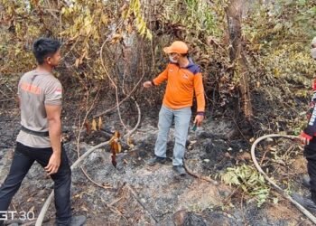 Kebakaran Lahan Sisa Hari Sebelumnya Terjadi di Desa Apung, Tim Gabungan Berhasil Padamkan Api