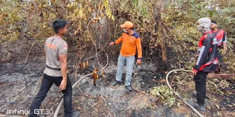 Kebakaran Lahan Sisa Hari Sebelumnya Terjadi di Desa Apung, Tim Gabungan Berhasil Padamkan Api
