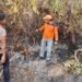 Kebakaran Lahan Sisa Hari Sebelumnya Terjadi di Desa Apung, Tim Gabungan Berhasil Padamkan Api