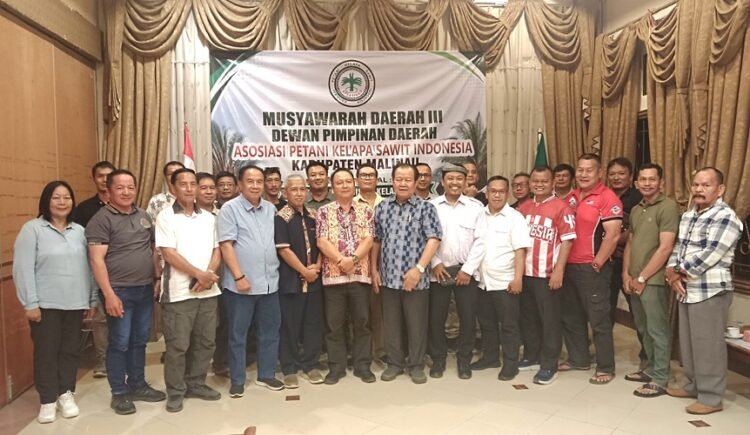 Asa Baru Petani Sawit Malinau, Dari Keringat Menuju Kesejahteraan dan Kesetaraan