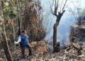 Karhutla Pemicu Batubara Aktif Pantai Amal, Jalan Provinsi Terancam Amblas 