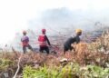 Kaltara Run Semarakkan HUT ke-81 RI, Gubernur Ajak Warga Terapkan Hidup Sehat dengan Berolahraga