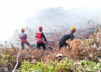 Kaltara Run Semarakkan HUT ke-81 RI, Gubernur Ajak Warga Terapkan Hidup Sehat dengan Berolahraga