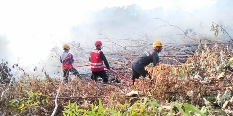 Kaltara Run Semarakkan HUT ke-81 RI, Gubernur Ajak Warga Terapkan Hidup Sehat dengan Berolahraga