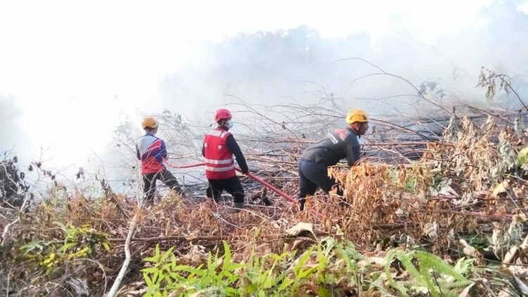 Kaltara Run Semarakkan HUT ke-81 RI, Gubernur Ajak Warga Terapkan Hidup Sehat dengan Berolahraga