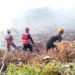Kaltara Run Semarakkan HUT ke-81 RI, Gubernur Ajak Warga Terapkan Hidup Sehat dengan Berolahraga