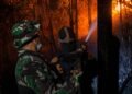Kodim 0907/Tarakan Kerahkan Personel Padamkan Kebakaran 4 Hektare Lahan di Pantai Amal