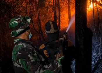 Kodim 0907/Tarakan Kerahkan Personel Padamkan Kebakaran 4 Hektare Lahan di Pantai Amal