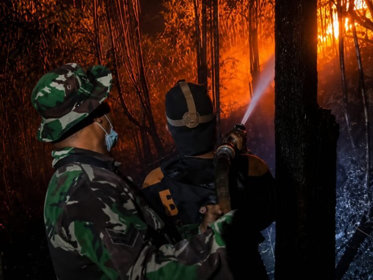 Kodim 0907/Tarakan Kerahkan Personel Padamkan Kebakaran 4 Hektare Lahan di Pantai Amal