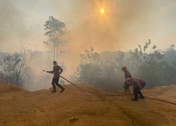 Cegah Karhutla Meluas, Tim Respons Bencana Brimob Koordinasi Pemadaman di Berau