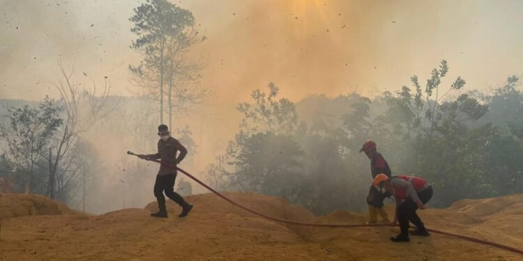 Cegah Karhutla Meluas, Tim Respons Bencana Brimob Koordinasi Pemadaman di Berau