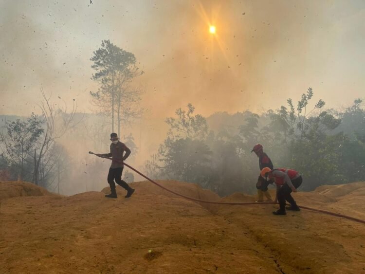 Cegah Karhutla Meluas, Tim Respons Bencana Brimob Koordinasi Pemadaman di Berau
