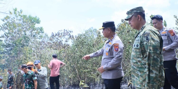 Penanganan Karhutla Kaltim-Kaltara Semakin Terkendali, Pangdam: Sinergi dan Respons Cepat Jadi Kunci