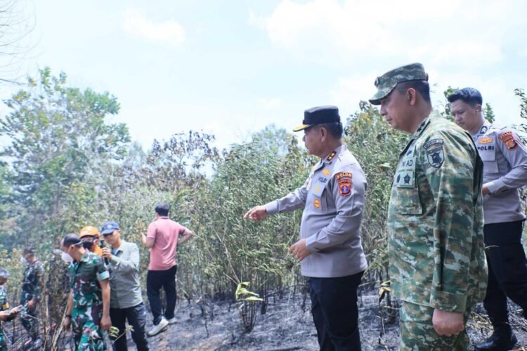 Penanganan Karhutla Kaltim-Kaltara Semakin Terkendali, Pangdam: Sinergi dan Respons Cepat Jadi Kunci