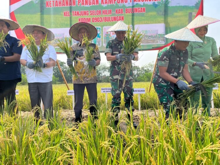 Dandim Bulungan Dorong Integrasi Pertanian, Peternakan dan Perikanan di Desa