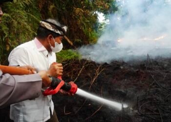 Karhutla Kaltara Terendah di Kalimantan, Pemprov Perketat Kewaspadaan