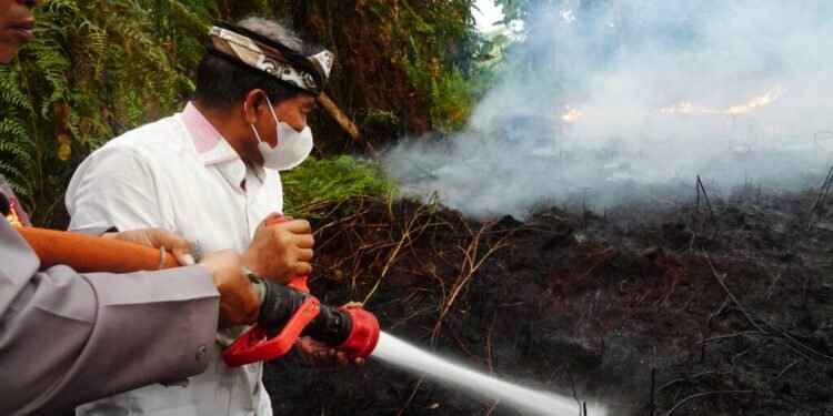 Karhutla Kaltara Terendah di Kalimantan, Pemprov Perketat Kewaspadaan