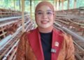 Vamelia Ibrahim Salurkan Bantuan Ratusan Bibit Ternak Ayam Petelur di Tana Tidung