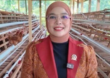 Vamelia Ibrahim Salurkan Bantuan Ratusan Bibit Ternak Ayam Petelur di Tana Tidung