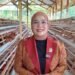 Vamelia Ibrahim Salurkan Bantuan Ratusan Bibit Ternak Ayam Petelur di Tana Tidung