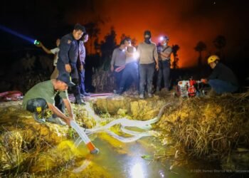 Cegah Karhutla, Otorita IKN Terbitkan Surat Edaran, Latih Petani Mengolah Lahan Tanpa Bakar, dan Hadirkan Fitur Panic Button
