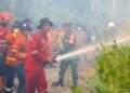 Otorita IKN Tegakkan Aturan Pengendalian Karhutla, Satu Terduga Pelaku Masuk Penyidikan dan Satu Perusahaan Dikenai Sanksi Administratif