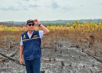 Pastikan Karhutla Padam, Otorita IKN Cek Sejumlah Titik dan Perkuat Patroli