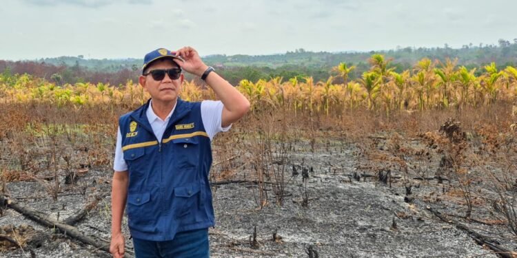 Pastikan Karhutla Padam, Otorita IKN Cek Sejumlah Titik dan Perkuat Patroli