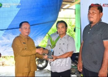 Pemkab Bulungan Salurkan 15.830 Benih Sawit dan Kakao, Produktivitas Petani Didorong Naik