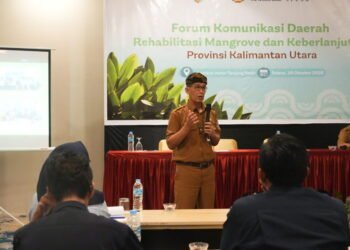 Perkuat Perlindungan Pesisir, Pemprov Matangkan Strategi Pengelolaan Mangrove