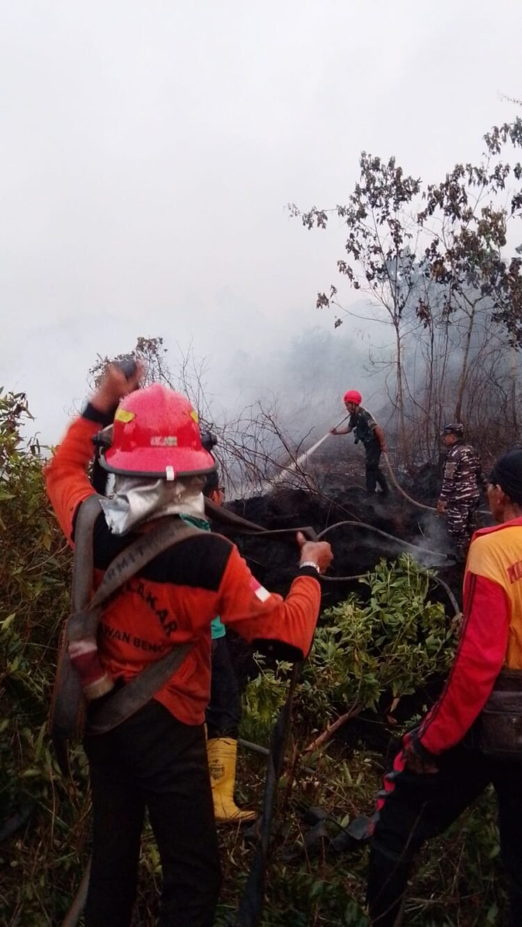 Kebakaran Lahan di Pantai Amal RT 8 Makin Luas Dekati Rumah Warga