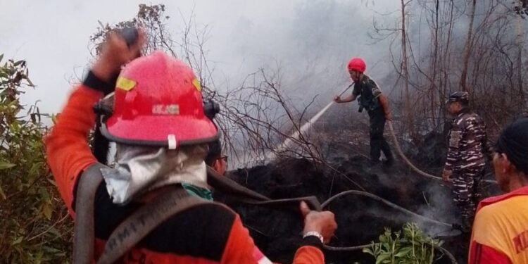 Kebakaran Lahan di Pantai Amal RT 8 Makin Luas Dekati Rumah Warga