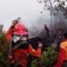 Kebakaran Lahan di Pantai Amal RT 8 Makin Luas Dekati Rumah Warga
