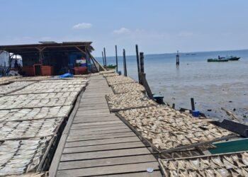 Perikanan Jadi Kunci Pertumbuhan Ekonomi Tarakan
