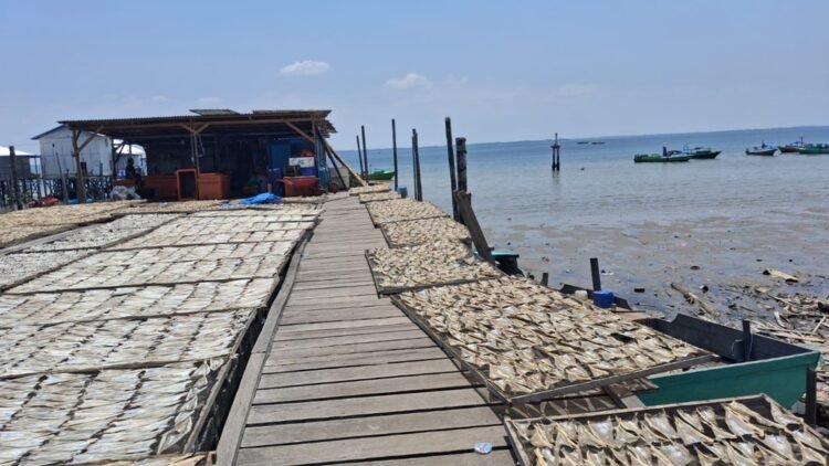Perikanan Jadi Kunci Pertumbuhan Ekonomi Tarakan