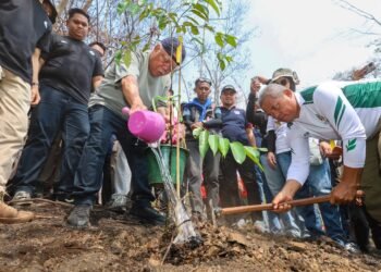 Pascakebakaran Hutan di Tahura Bukit Soeharto, Otorita IKN dan Borneo Kind Tanam 1.000 Bibit Pohon
