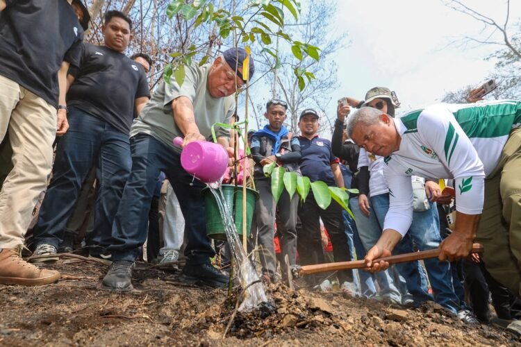 Pascakebakaran Hutan di Tahura Bukit Soeharto, Otorita IKN dan Borneo Kind Tanam 1.000 Bibit Pohon